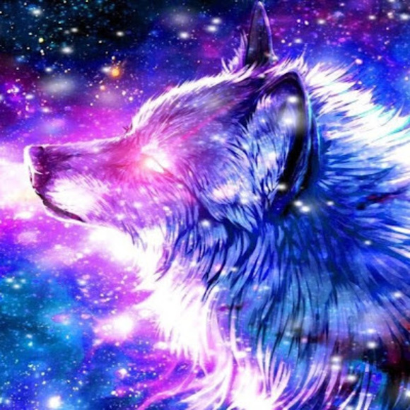 galaxy_fox_0101